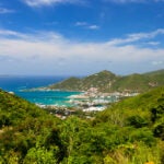 How to manage the succession of a BVI Co