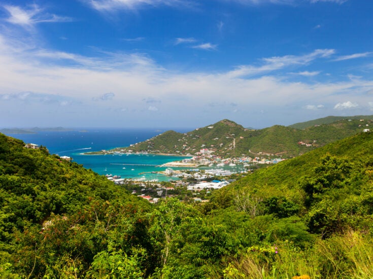 How to manage the succession of a BVI Co