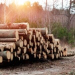 BNP Paribas AM acquires majority stake in International Woodland Company